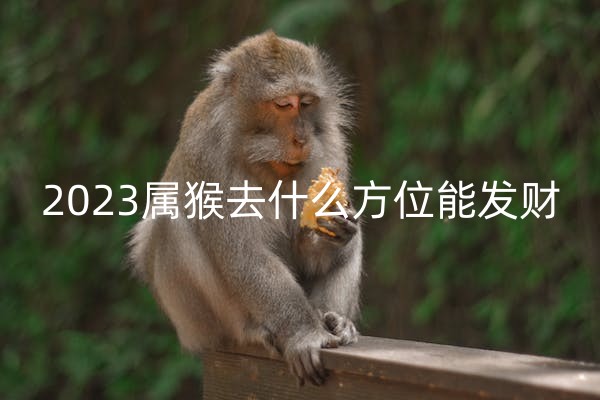猴2_副本.jpg